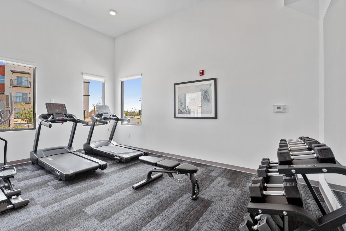 Small gym room with treadmills, a bench, and dumbbells, with windows letting in natural light.