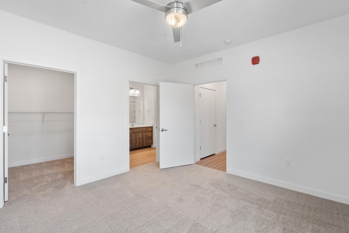 Bright empty bedroom with beige carpet, ceiling fan, open closet, and doors to bathroom and hallway.